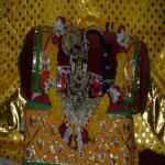 Vraj-Yatra-2014- (1447)